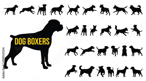 Set of boxer dog silhouettes in various poses, including running, jumping, and standing canine vector illustration collection