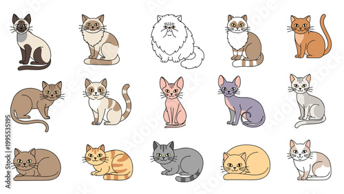 Large collection of different domestic cat breeds with various fur colors and patterns standing and sitting in a diverse and colorful set.