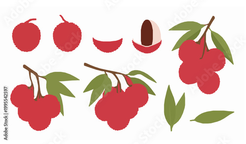Lychee fruit vector set tropical food collection with peeled and whole fruits