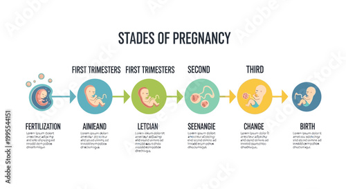 Illustration of a doctor providing medical advice to a pregnant woman, surrounded by various icons representing maternal health, prenatal care, and baby essentials for expectant parents