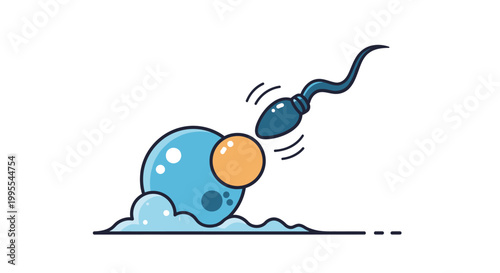 Fertilization The union of sperm and egg, symbolizing new life and the beginning of reproduction