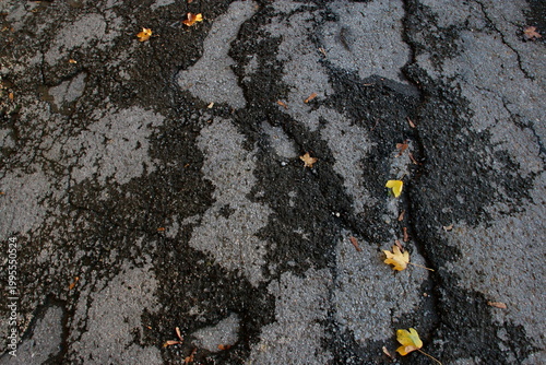Rissiger Asphalt mit Blättern