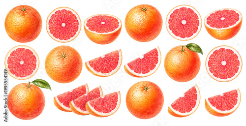 A vibrant watercolor collection of grapefruits featuring whole citrus fruits juicy slices and bright pink segments with fresh natural texture illustrated in a detailed botanical style.