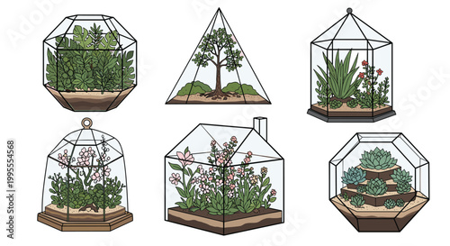 Collection of miniature indoor gardens housed in various geometric glass terrariums including succulents and flowers.