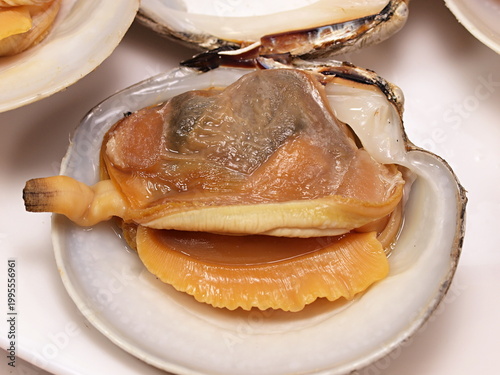 ボイルしたカガミガイ