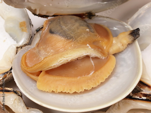 ボイルしたカガミガイ