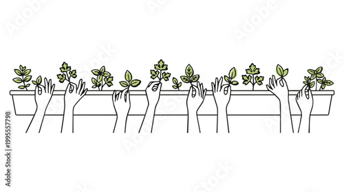 Multiple hands holding small green plants in a garden planter isolated on transparent background