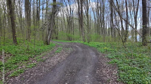 Green spring forest with flowers and grass in morning sunlight.