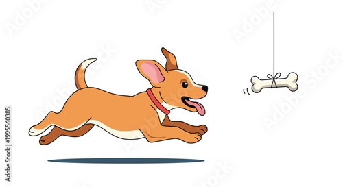 Energetic brown puppy dog running happily to catch a bone hanging from a string on a white background for pet stores.