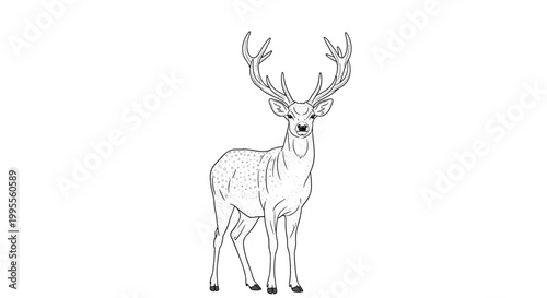 Majestic male deer with large antlers stands looking forward in a detailed black and white line art drawing for nature lovers.