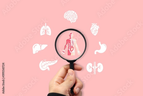 Tableau sur toile Human anatomy concept with magnifying glass highlighting internal organs and body systems