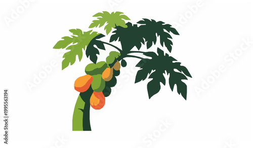 Papaya tree vector tropical fruit plant modern flat illustration clean design