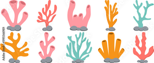 Sea ​​Coral Illustration

