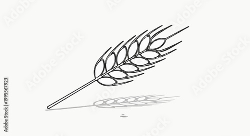 Elegant Single Wheat Ear Illustration Minimalist Line Art for Agriculture and Bakery Design Concepts