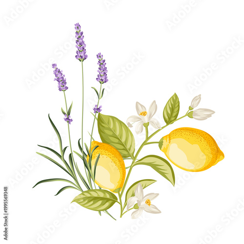 Lavender and lemon bouquet with blossoms