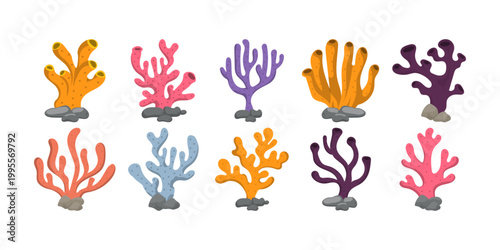 Sea ​​Coral Illustration