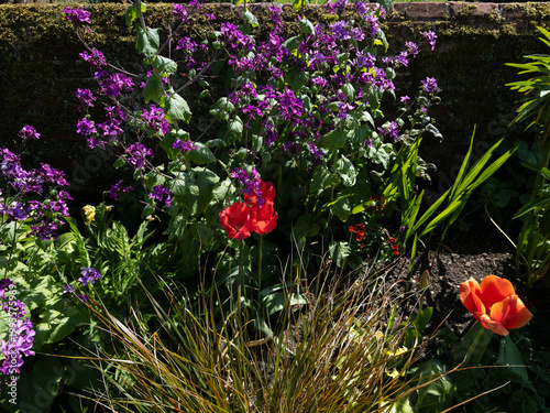 Old walled gardeb warwickshire Emgland UK