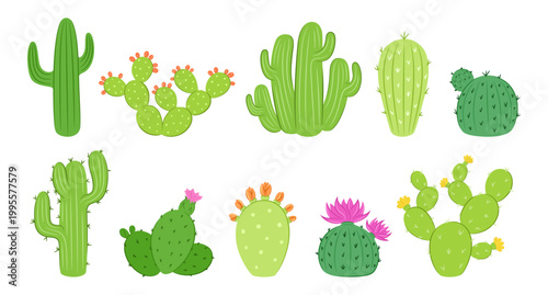 Green cactus plants set with saguaro and blooming succulents isolated on transparent background. Collection of desert flora with prickly pear, thorns and pink flowers for design.