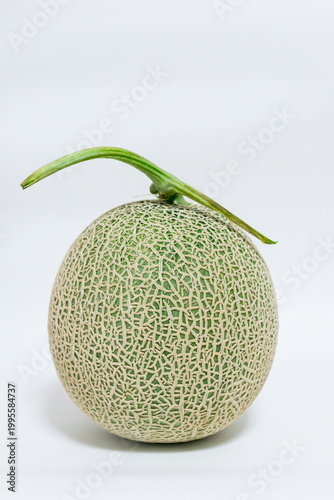 Whole Melon Isolated on White Background