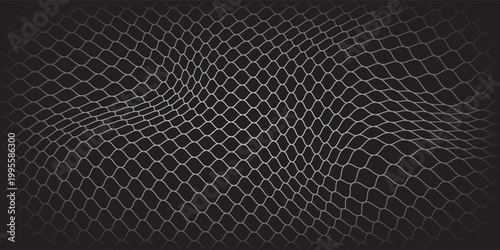 Fishing or soccer net. Repeated hexagon pattern. Black wired mesh texture isolated on white background.ilustrasion modern.