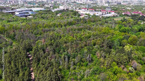Botanical garden with a view of the city of Almaty. The view from the drone.