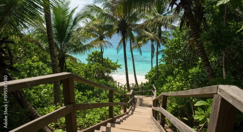 Wooden path descends towards a tropical beach