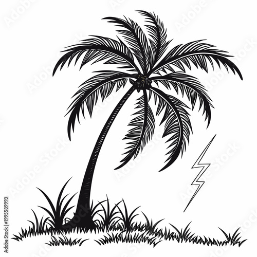 A striking black and white illustration depicts a gently curving palm tree with a lightning bolt nearby suggesting a tropical storm high quality professional detailed modern
