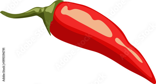 Red Chili Pepper Illustration 