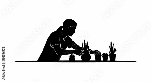 A gardener carefully arranging and tending to several potted plants.