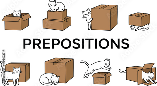 Prepositions concept illustration with cute cat and cardboard boxes demonstrating spatial relationships like inside outside under over and between