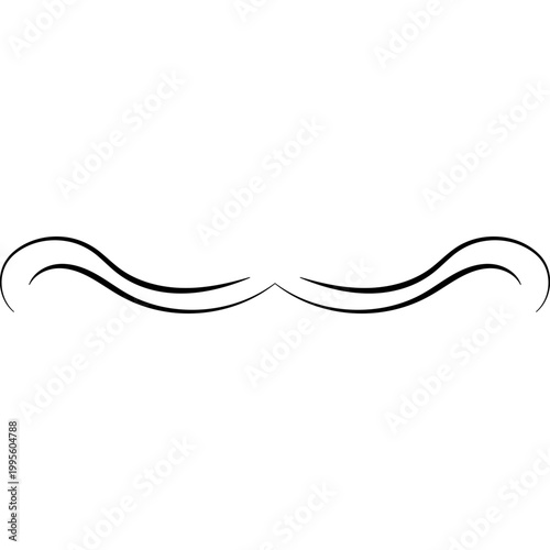 Elegant Flourish Decoration