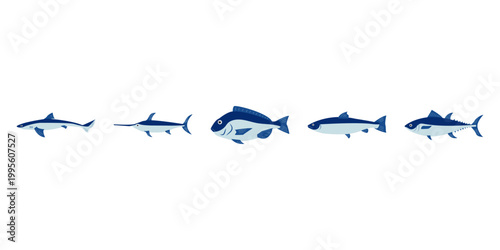 Set of blue marine fish illustrations on white background