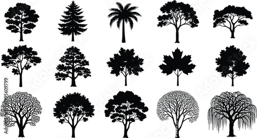 Collection of silhouetted trees diverse species in black and white