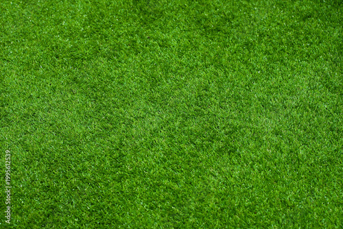Photos background, texture, grass, green, growth, fresh, vibrant, summer, nature, natur