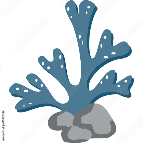 Sea ​​Coral Illustration
