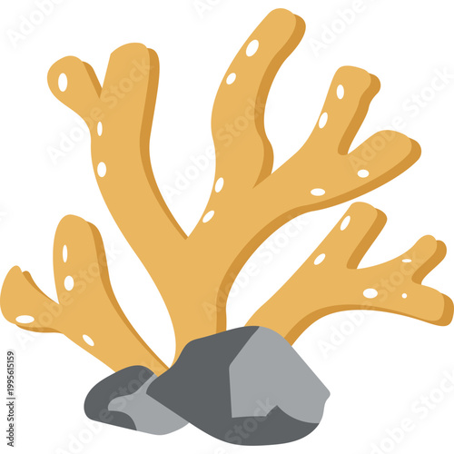 Sea ​​Coral Illustration