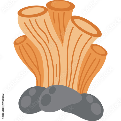 Sea ​​Coral Illustration