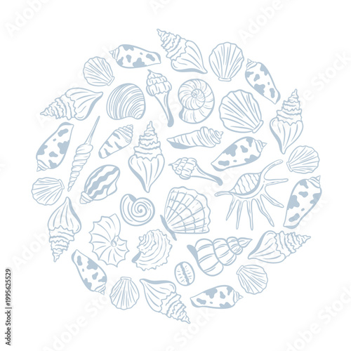Round mockup filled with hand-drawn shells and mollusks. Template themed around the sea, ocean, coastal, recreation, tourism and seafood. Vector graphic
