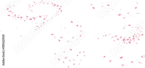 Abstract background featuring falling pink sakura flower petals in swirling motion for romantic spring themed graphic designs
