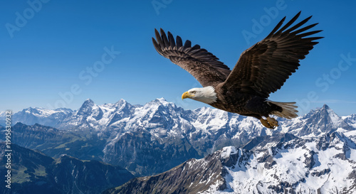 Golden Eagle Soaring Over Snowy Mountains