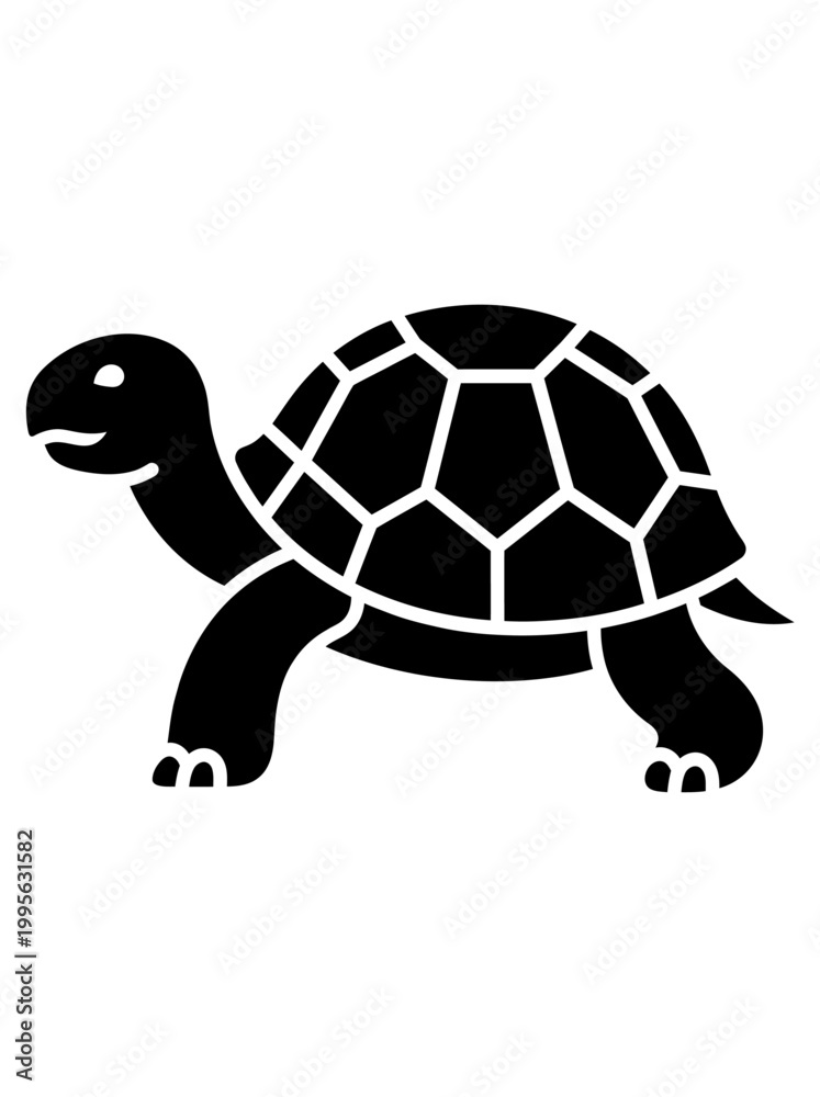 Obraz premium turtle
