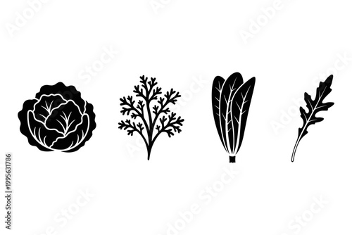 Leafy Greens Collection