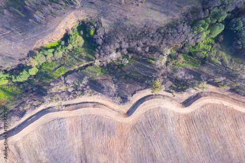 Photography Winding firebreak in a rural forest landscape The Concept of fire prevention