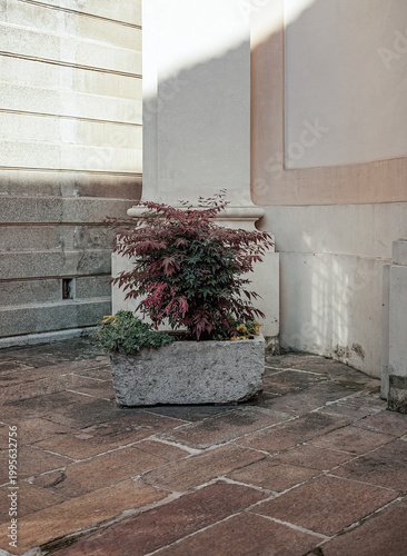 Potted plant in stone planter against historic building wall