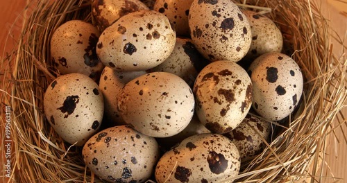 Quail eggs on a hay background, close-up footage on a rotating table.