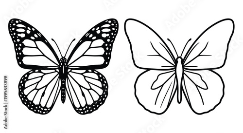 Two butterflies one detailed one outline in a black and white drawing