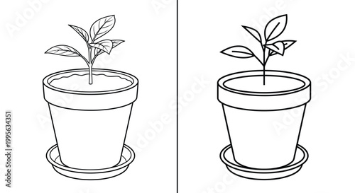Two potted plants in line drawings showcasing growth stages