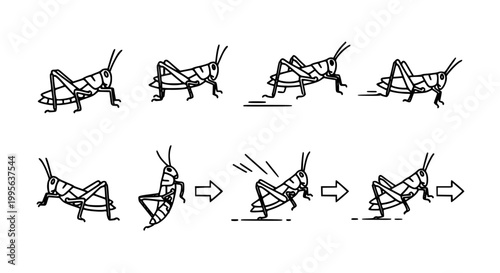 Grasshopper Locust Motion Icon Set with Walking Jumping and Leaping Poses in Clean Outline Style for Nature Design