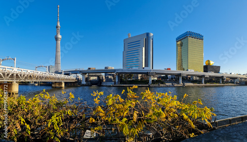 Tokyo Skytree over Sumida River, Tokyo, Japan	