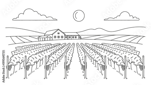 Vineyard landscape with farmhouse and rolling hills at sunset wine making vineyard rows food production
